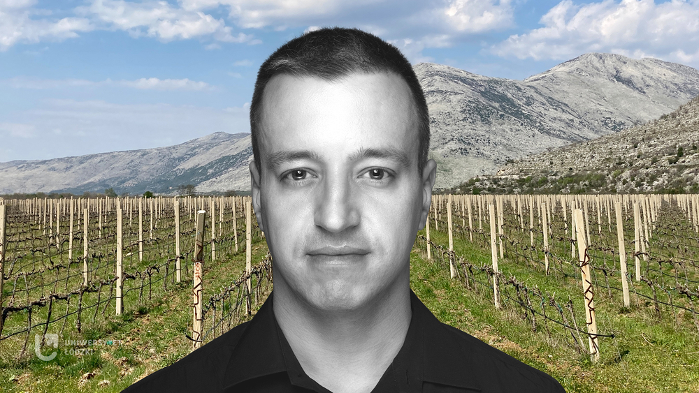 Dr Marek Majer na tle pola krótko przyciętych winorośli. W tle góry.