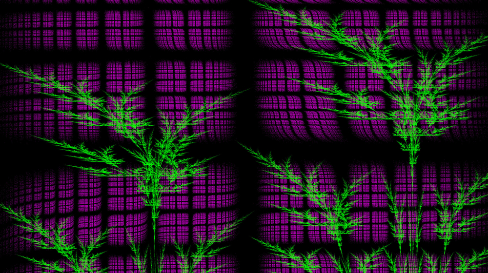 The image shows fractals by Prof. Dariusz Wardowski