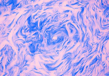 microscopic photography