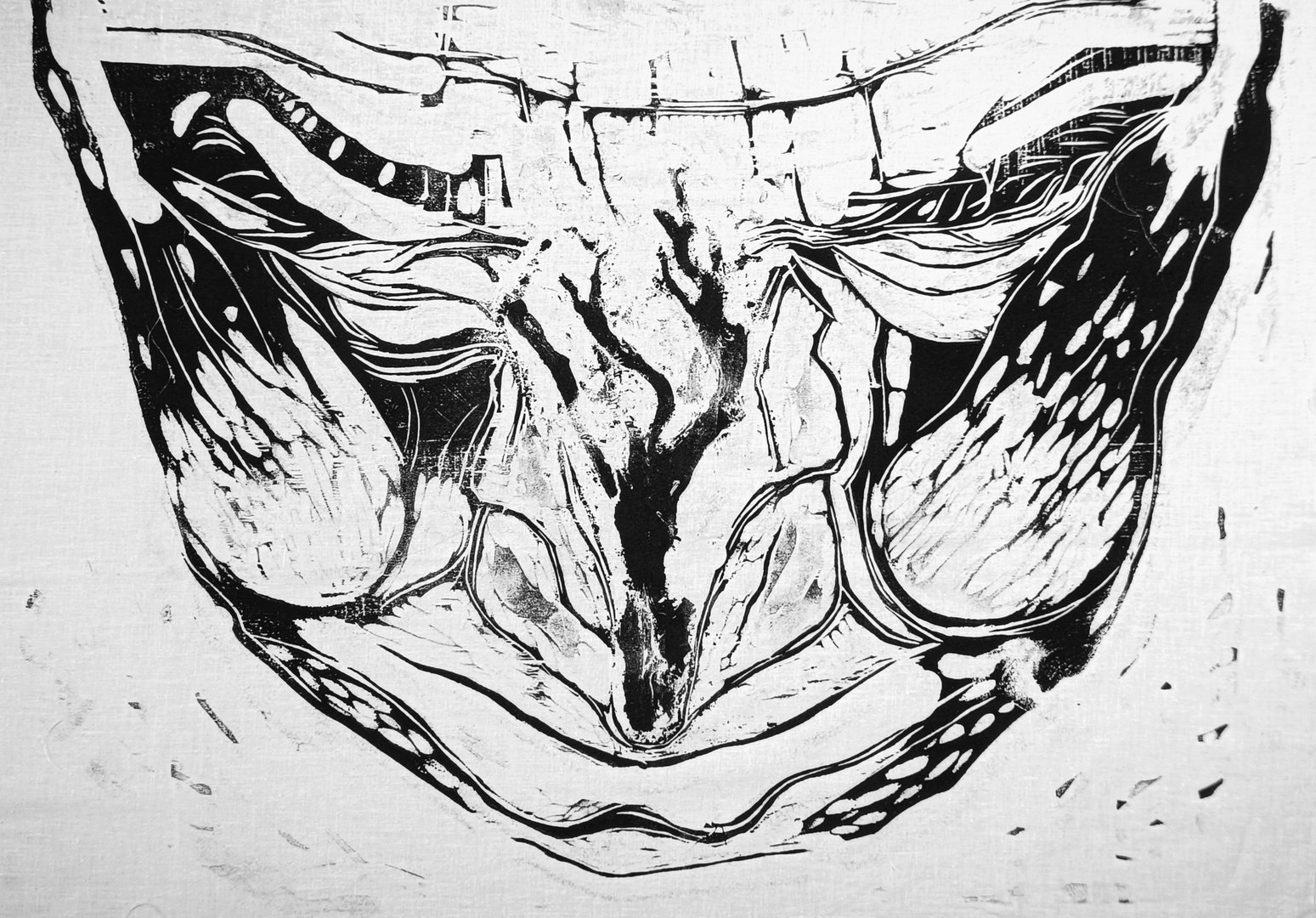 Drzeworyt A. Nowickiego "Nos"