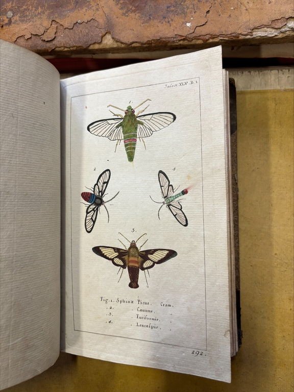 Zbiory specjalne BUŁ