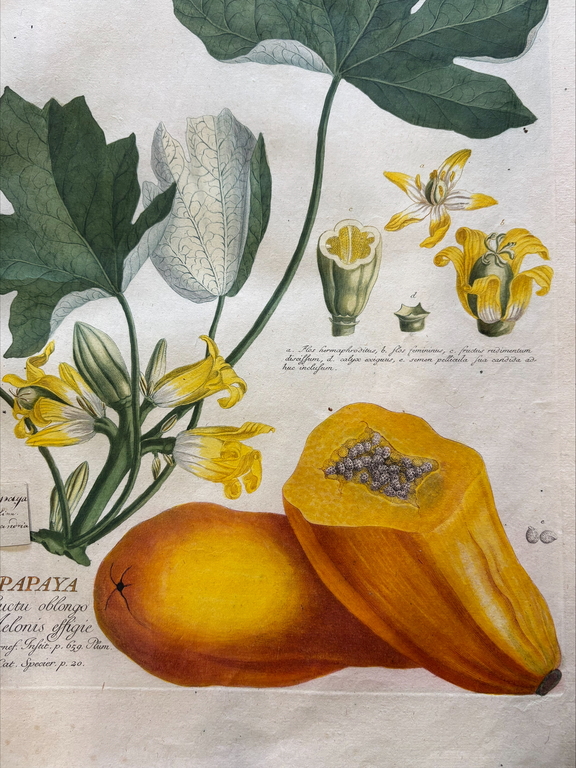 Zbiory specjalne BUŁ