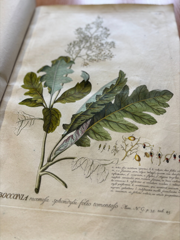 Zbiory specjalne BUŁ