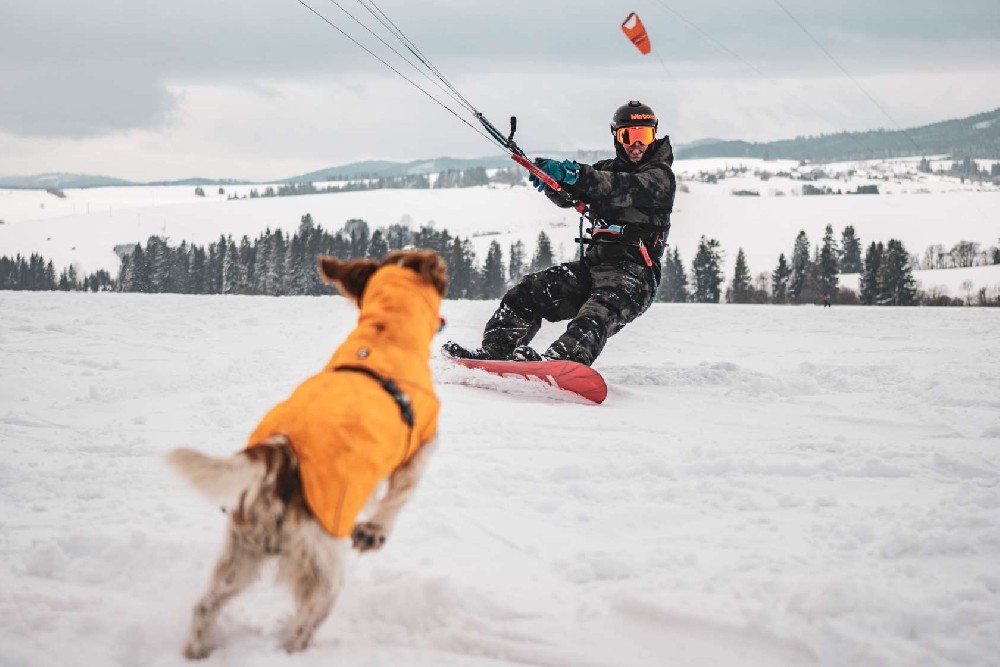 Zdjęcie promujące stypendia Visegrad
