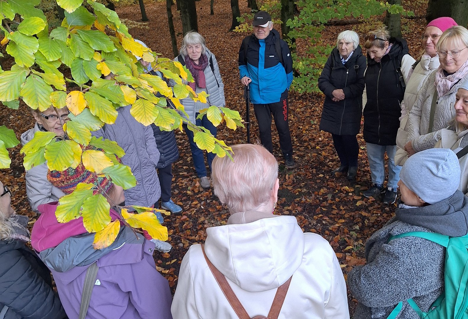 Seniorzy spacerują po lesie