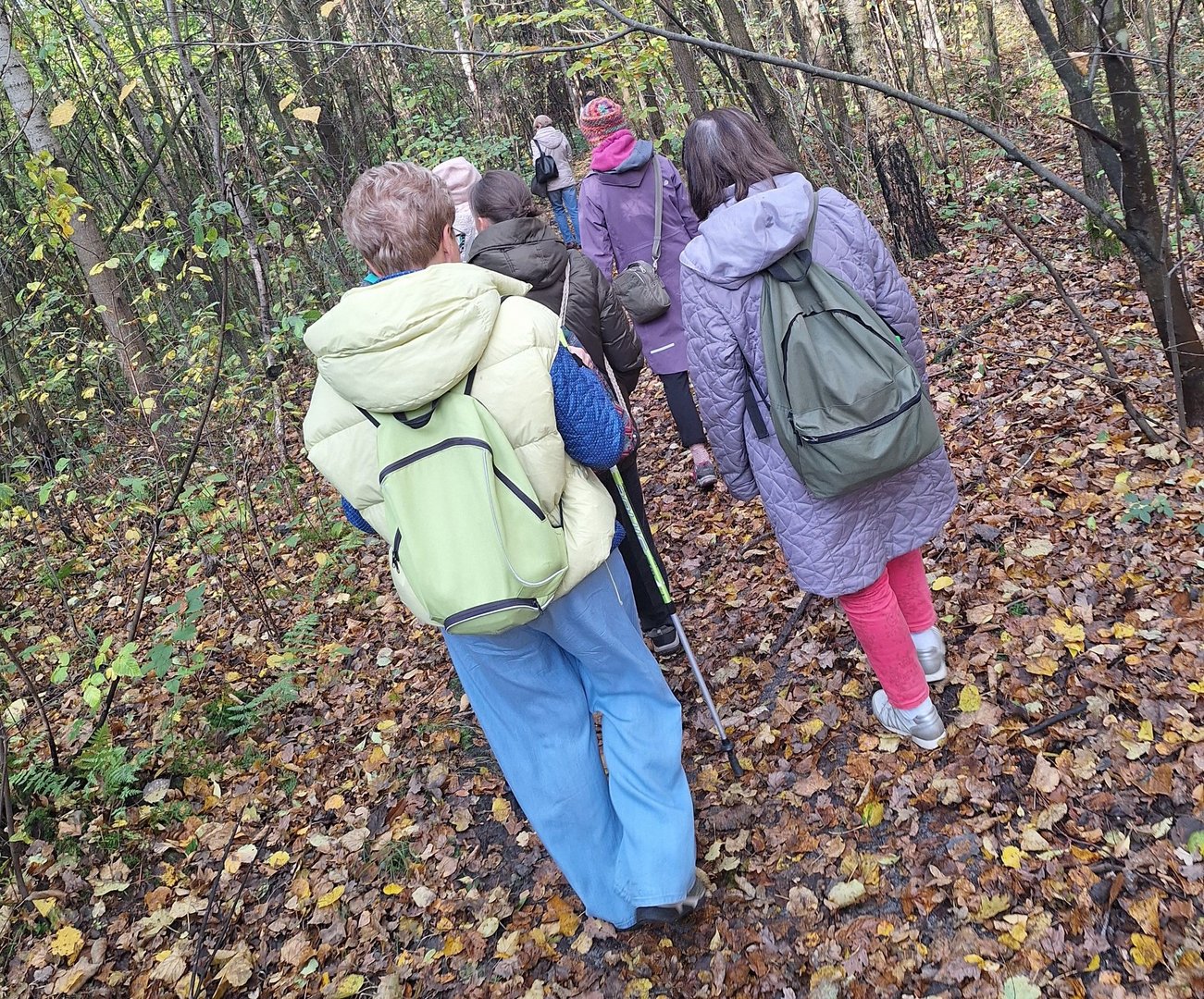 Seniorzy spacerują po lesie