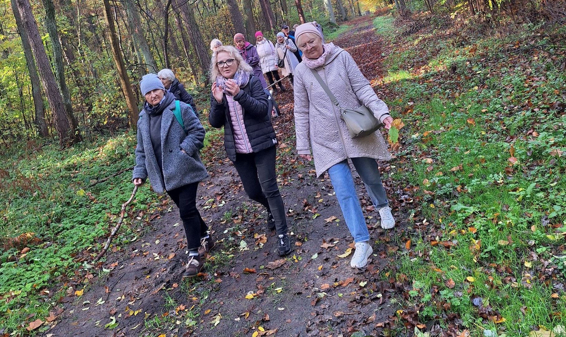 Seniorzy spacerują po lesie