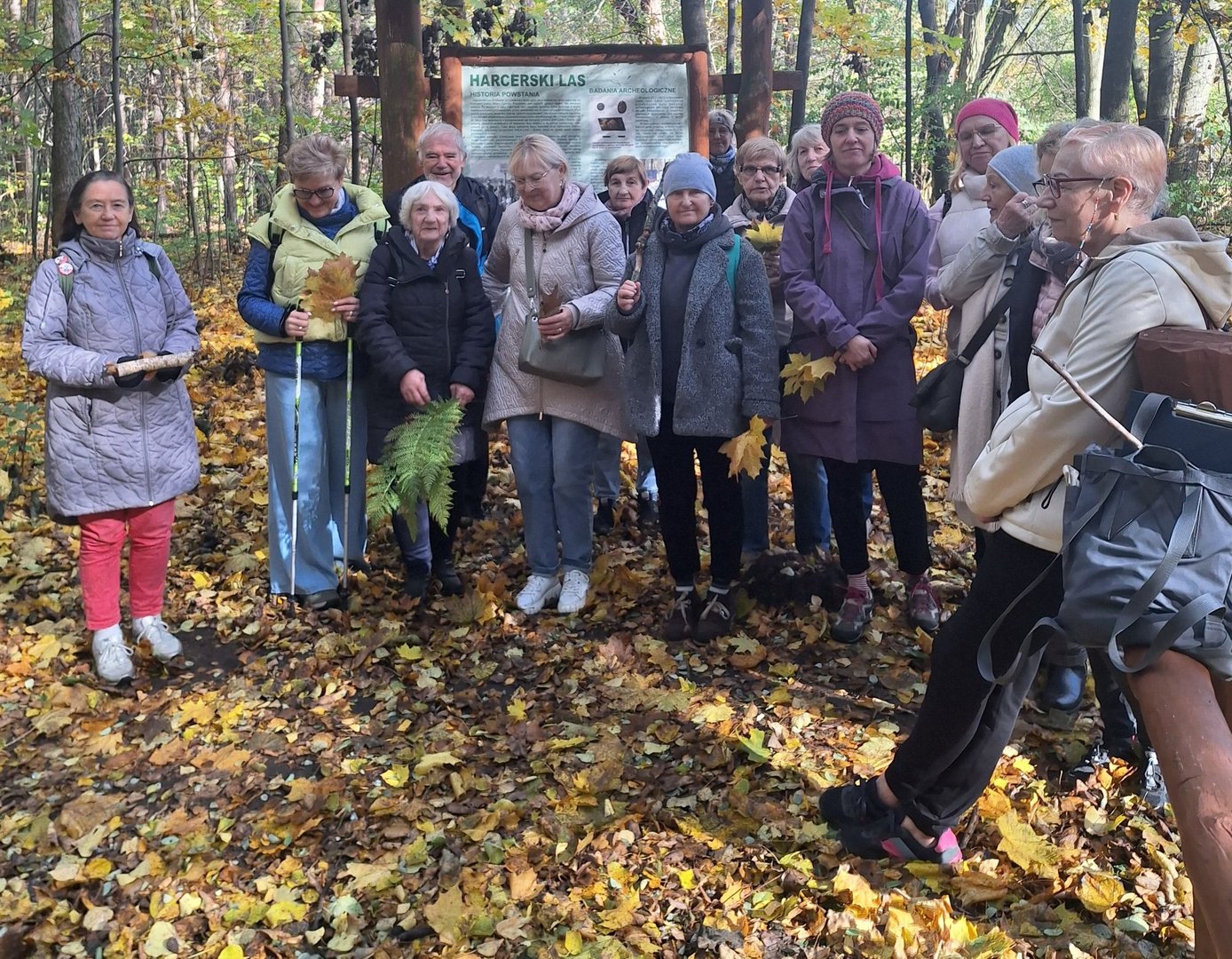 Seniorzy spacerują po lesie