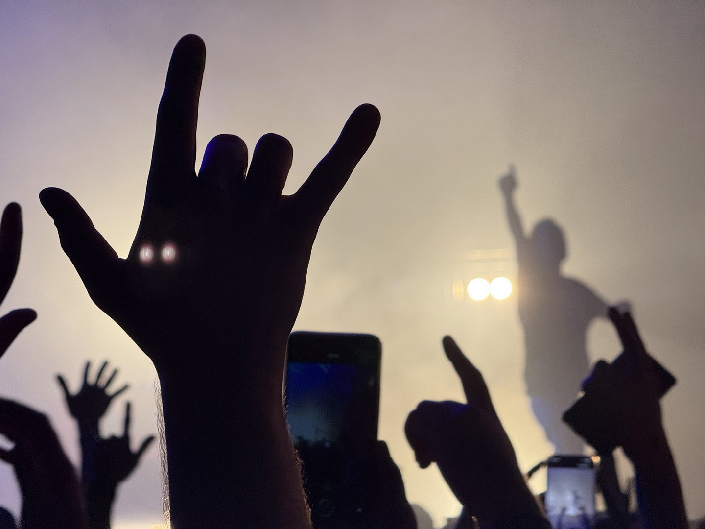 festiwal festiwal