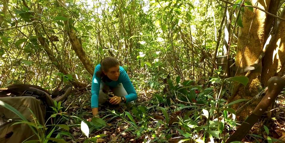 dr Izabela Stachowicz podczas badań w terenie