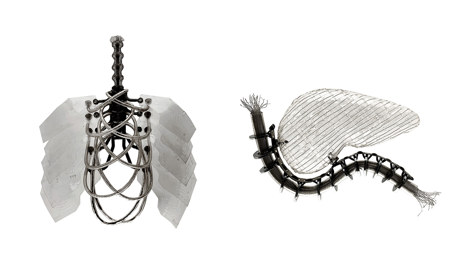 prace artystki - sztuczne organy