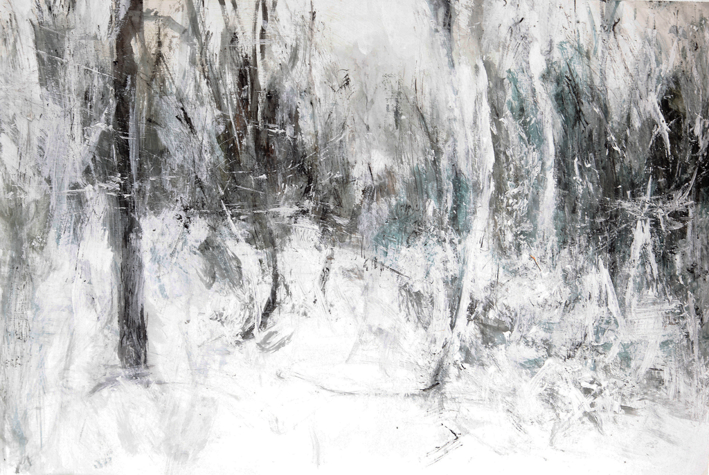 Na zdjęciu widoczny pejzaż, las, droga w kolorach szarym, czarnym, z elementami bieli.