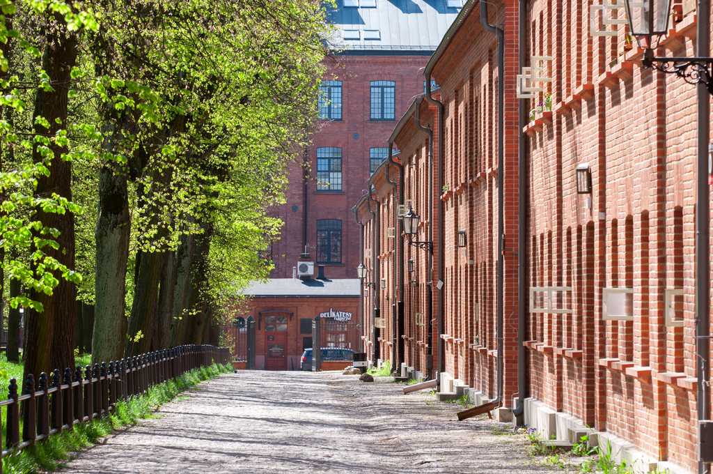 a decorative element: trees in the city