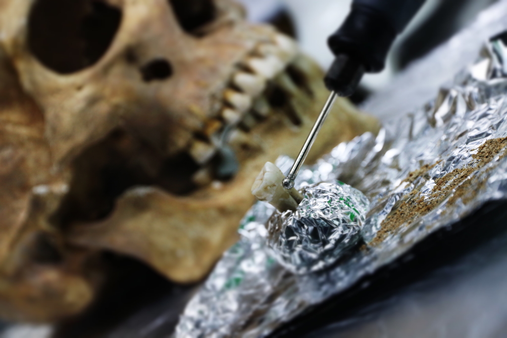 Vikings from Lutomiersk – a graphic