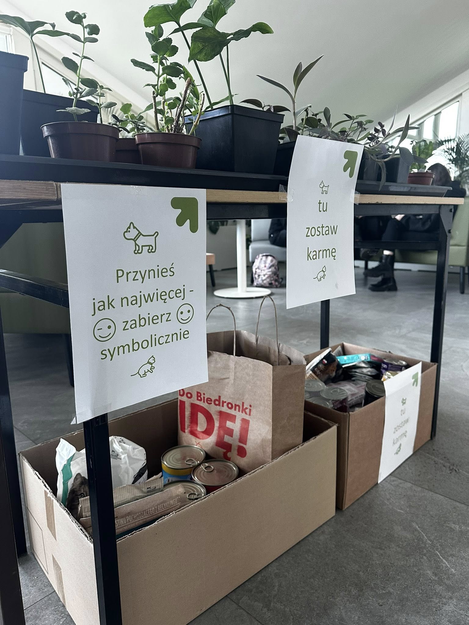 Rośliny na kiermasz, zdjęcie