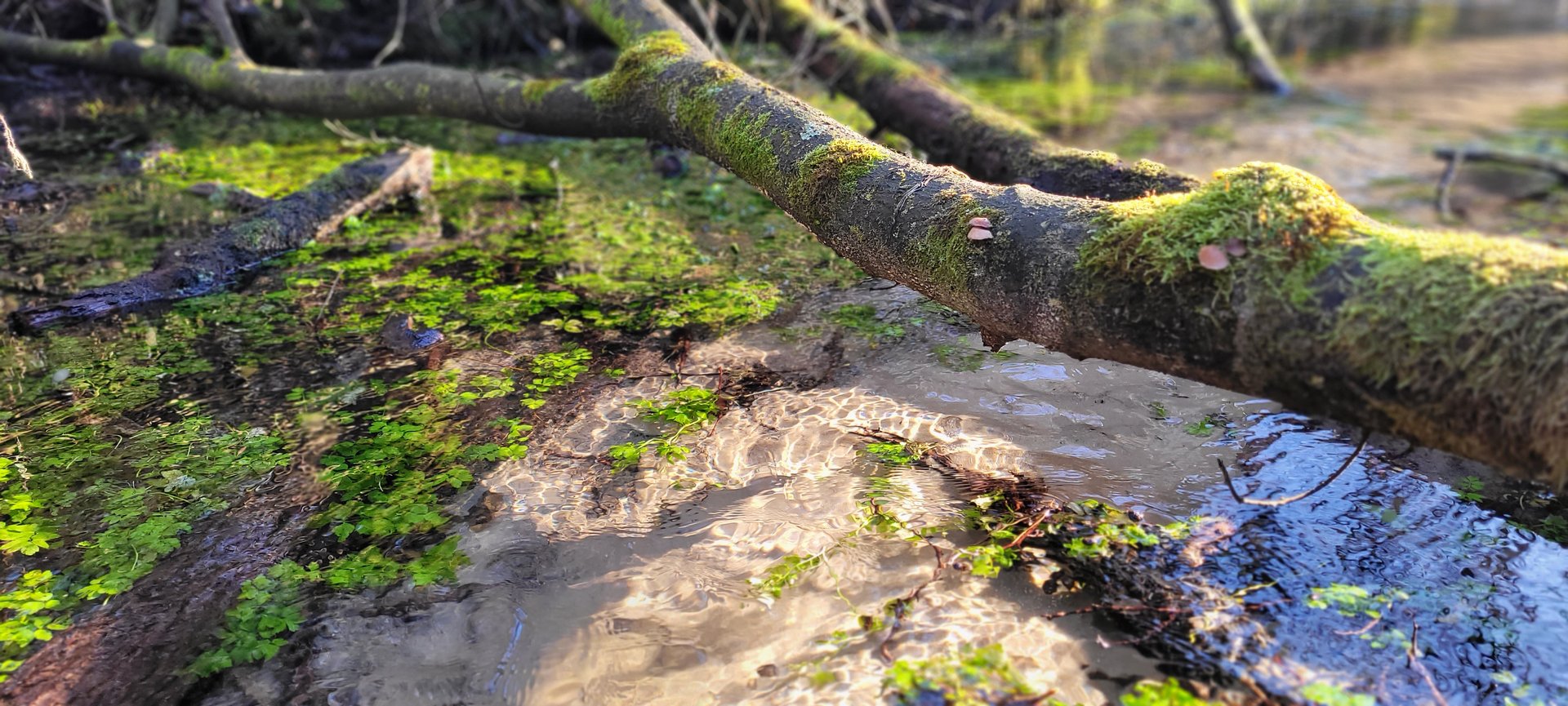Zdjęci do artykułu 