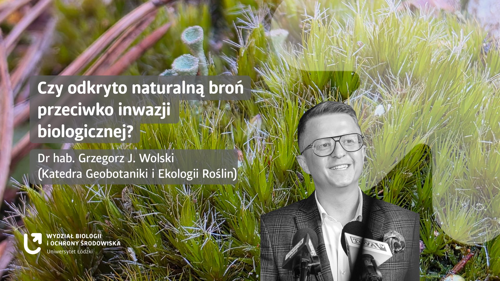Grafika do tekstu