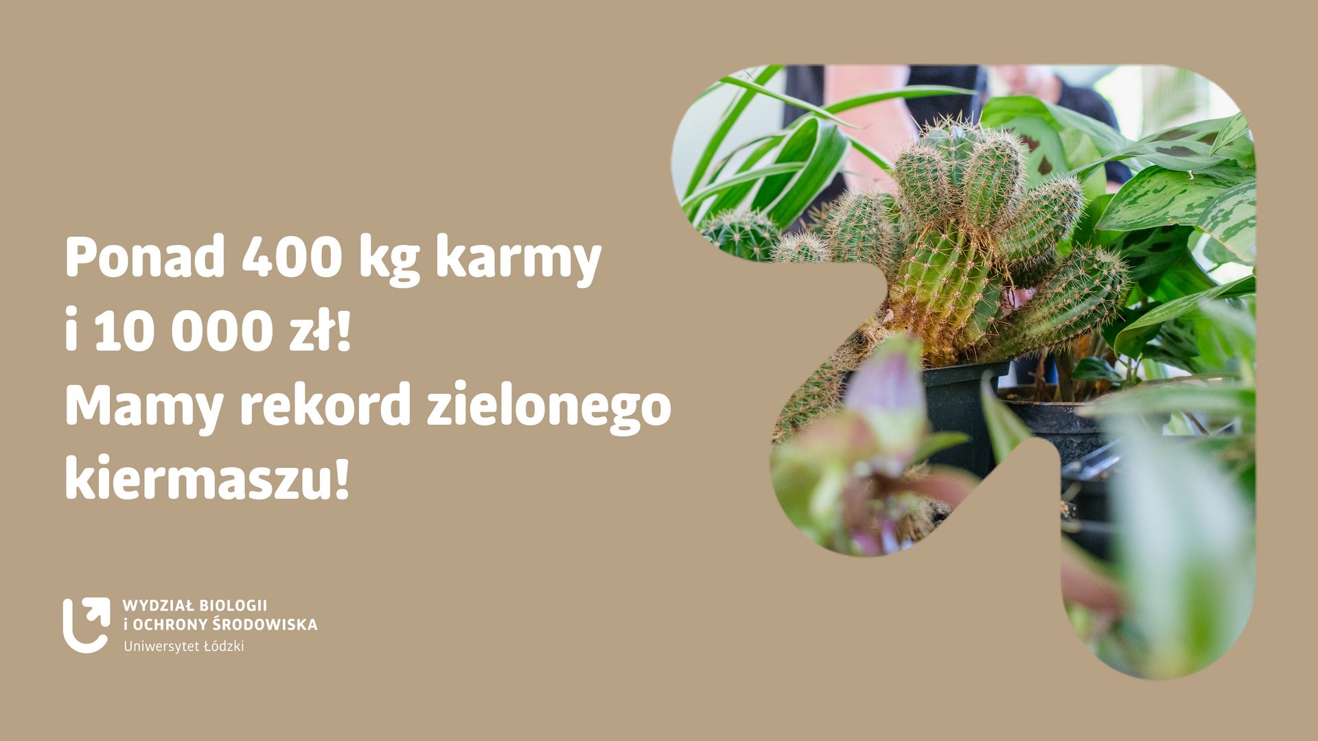 Grafika do tekstu