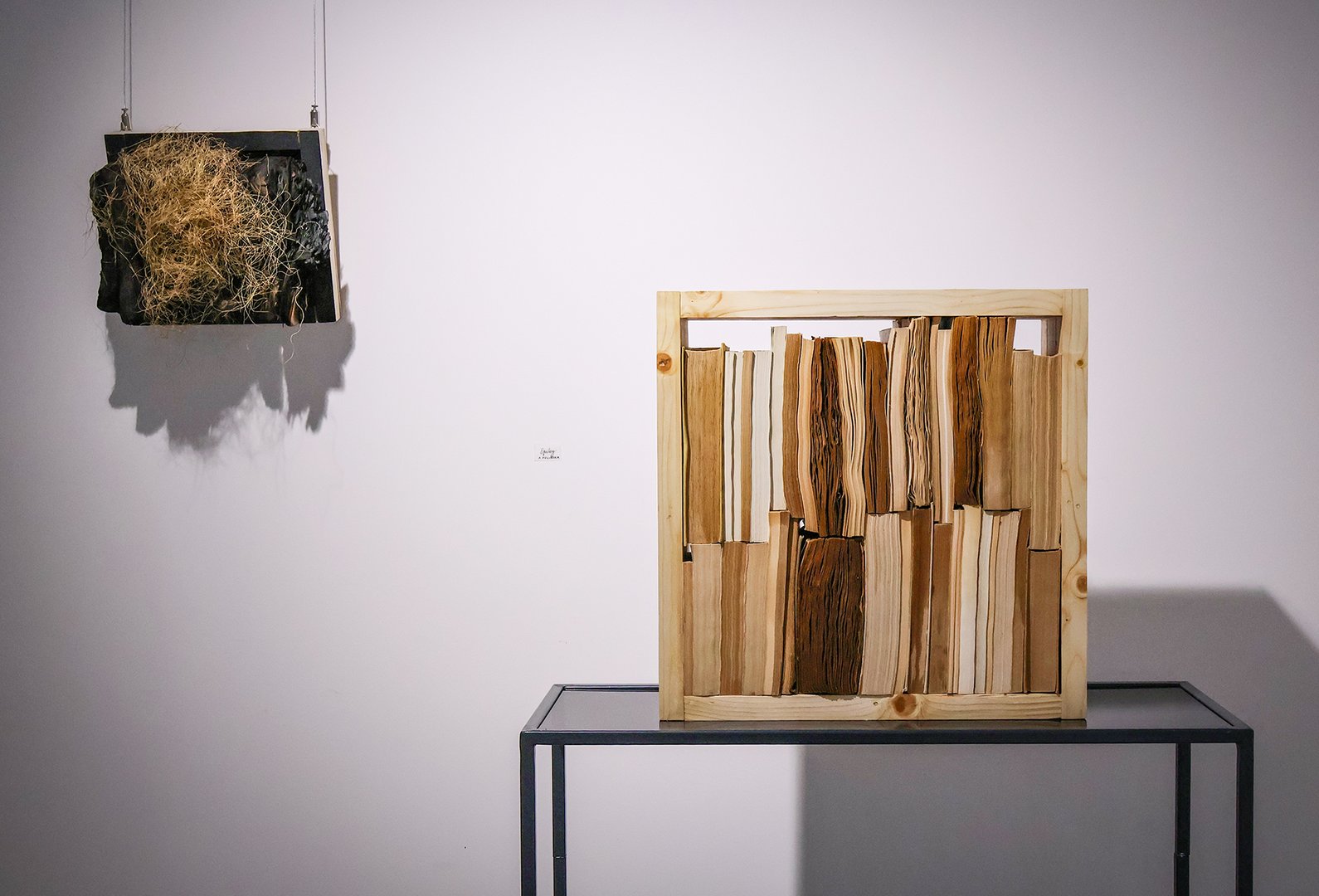 Wystawa w Muzeum Przyrodniczym