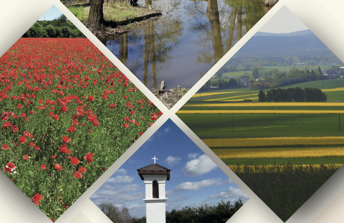 Widoki krajobrazu przyrodniczego