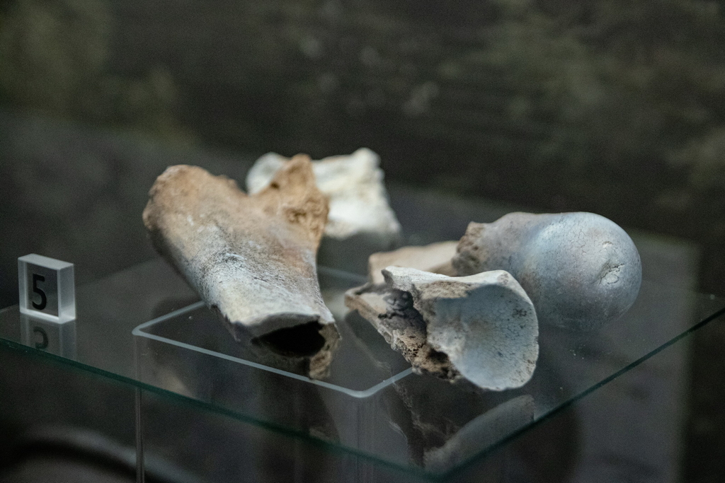 Wyjazd po pograniczach Górnego Śląska