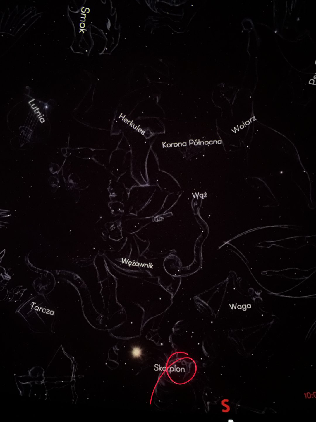 Zdjęcie przedstawia fragment nocnego nieba z wizualizacjami wielu konstelacji. Na ciemnym tle widać delikatne, jasne szkice postaci mitologicznych nałożone na gwiazdy. Każda konstelacja jest podpisana białym tekstem — m.in. „Herkules”, „Korona Północna”, „Wężownik”, „Waga”, „Wolarz”, „Smok” i „Lutnia”. Na dole, pośrodku zdjęcia, znajduje się podpis „Skorpion”, otoczony czerwonym, owalnym zaznaczeniem, które podkreśla tę konstelację. W prawym dolnym rogu widoczna jest czerwona litera „S”, oznaczająca kierunek południowy.