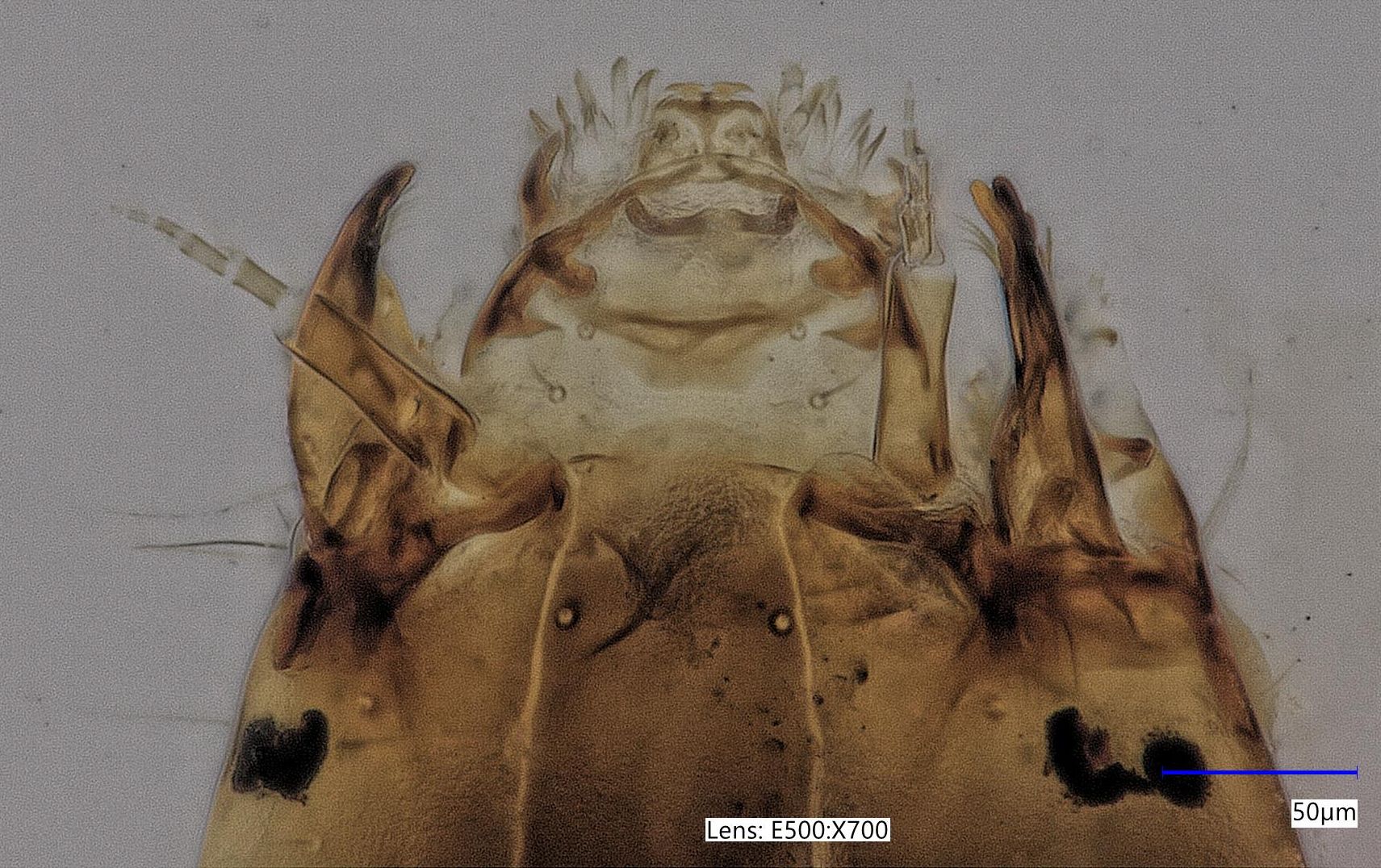 spotkanie warsztatowe, które zgromadziło przedstawicieli firmy KEYENCE