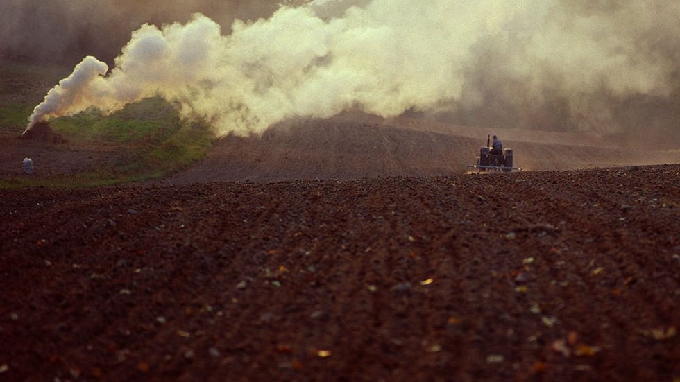 a decorative element