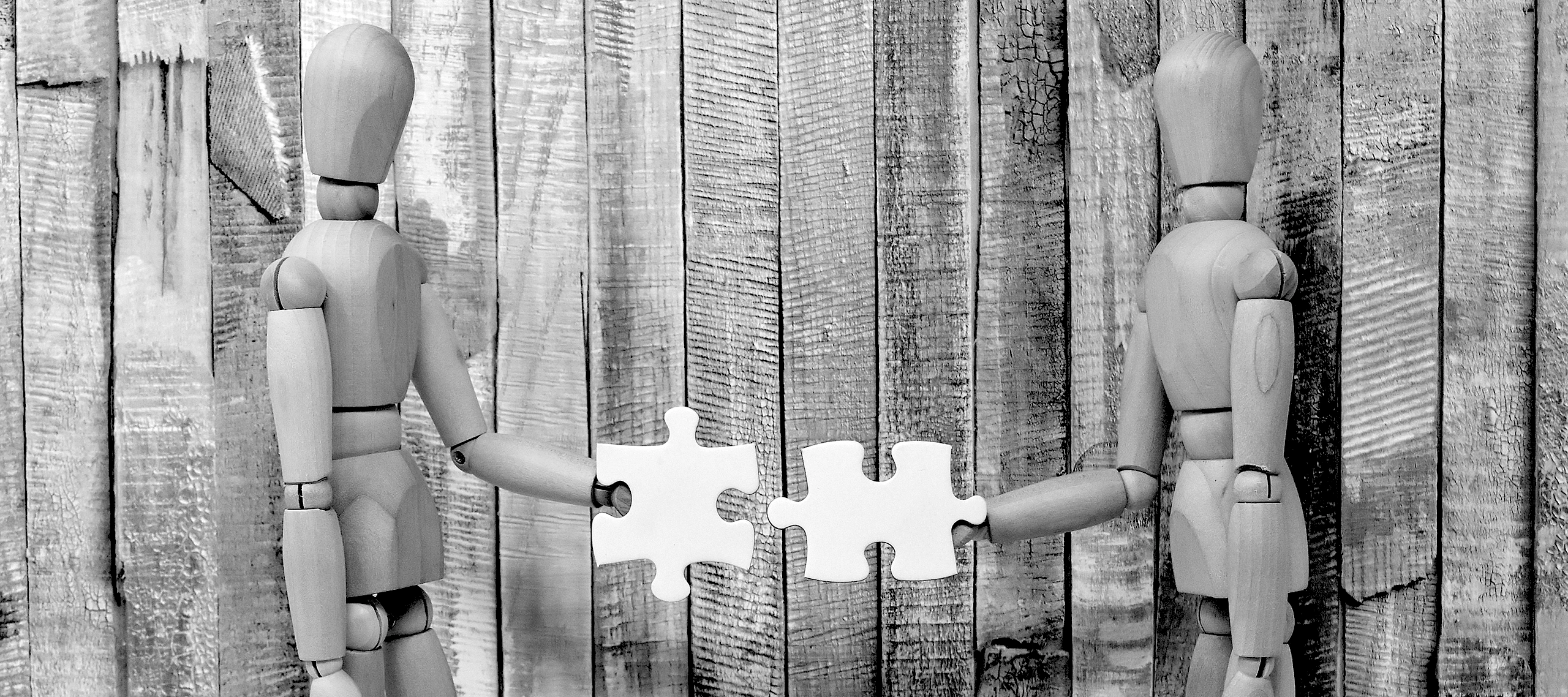 Zdjęcie nagłówkowe