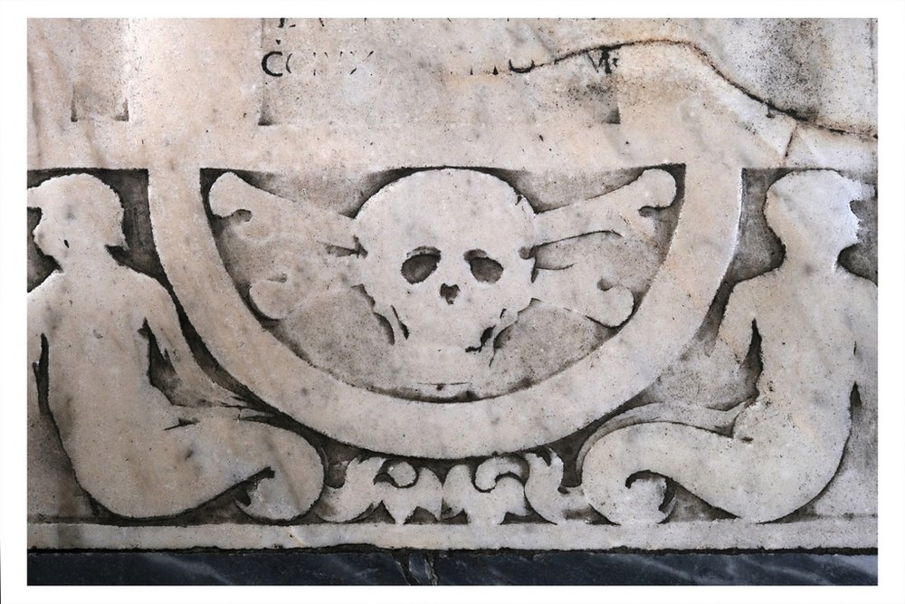 Czaszka, fot. Tomasz Ferenc