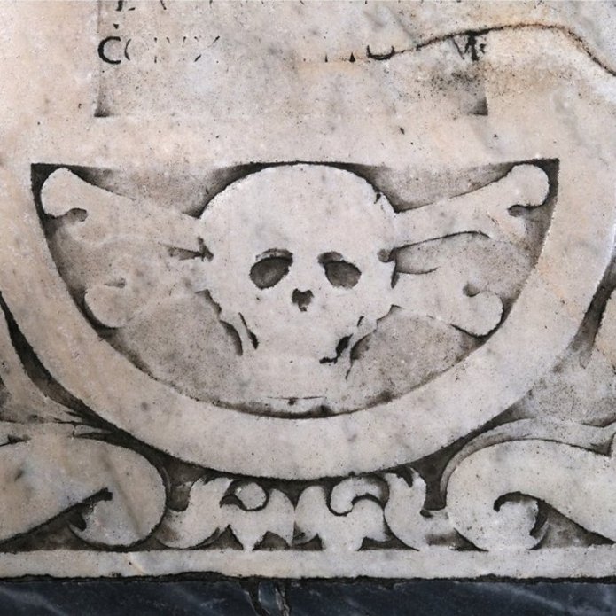 A skull, photo by Tomasz Ferenc