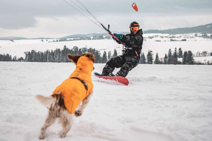 Zdjęcie promujące stypendia Visegrad