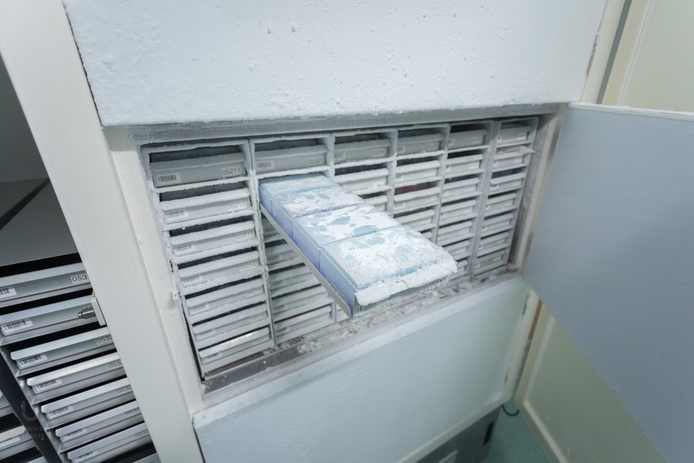 laboratorium i materiał badawczy w lodówce