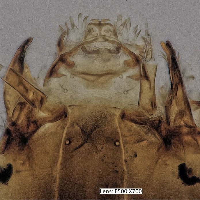 workshop meeting with representatives of KEYENCE