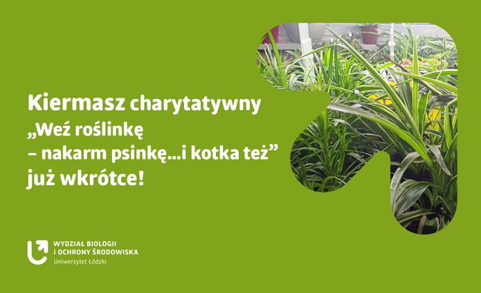 a graphic promoting the fair