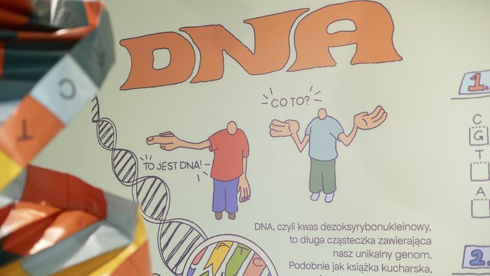 An illustration on the wall showing a DNA chain