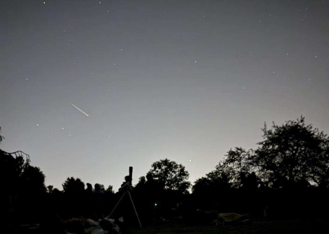 Nocne niebo nad Ogrodem Botanicznym, usiane gwiazdami. W lewej części nieba widoczna jest jasna, krótka smuga meteoru – Perseidy. Na dole zdjęcia, na ciemnej polanie, widać sylwetki osób leżących na kocach oraz teleskop ustawiony na statywie. W tle znajdują się ciemne sylwetki drzew.