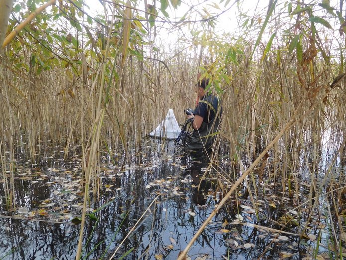 Zdjęcie z badań naukowych