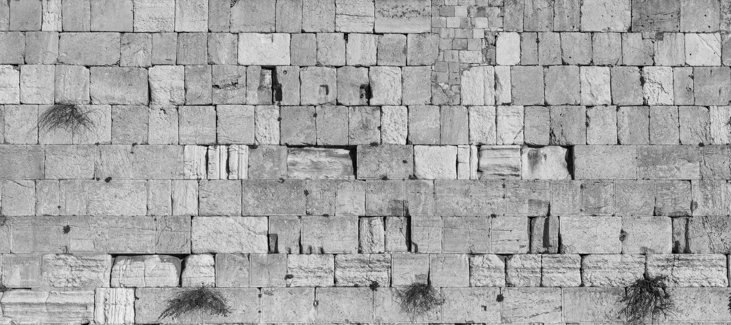 Zdjęcie nagłówkowe