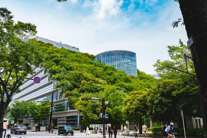 nowoczesne miasto z dużą ilością zieleni