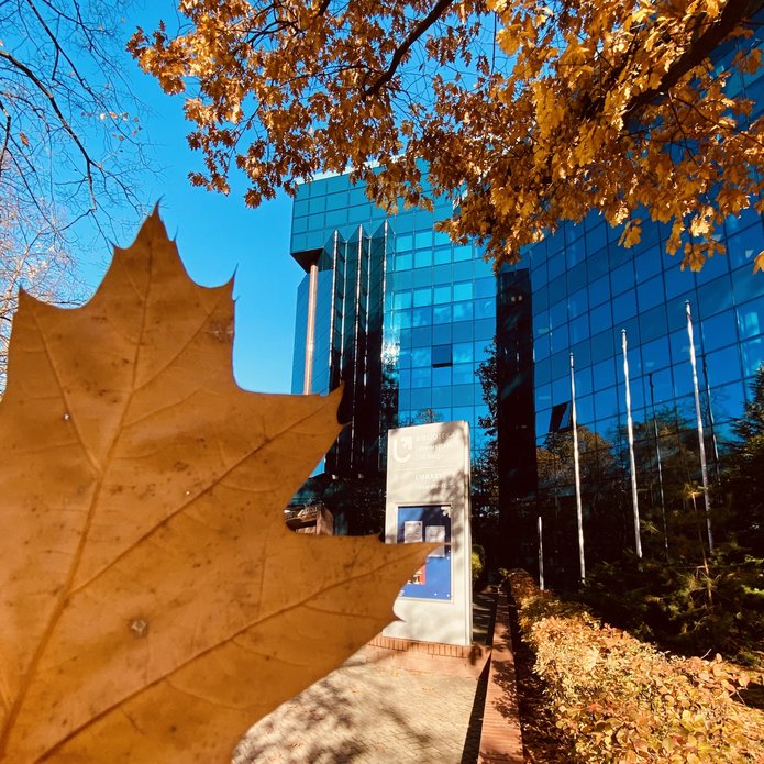 Na pierwszym planie pomarańczowy liść, w tle budynek Biblioteki UŁ.