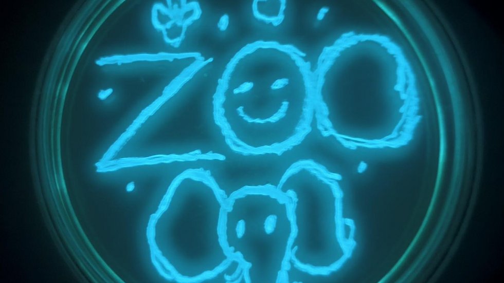 a laboratory sample with the word zoo written on it