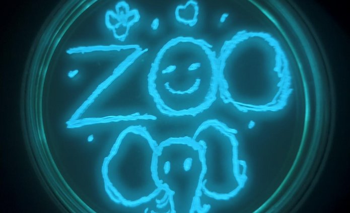 a laboratory sample with the word zoo written on it