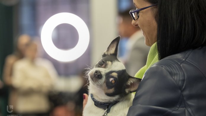 dyrektor schroniska w towarzystwie czworonożnego przyjaciela podczas briefingu prasowego