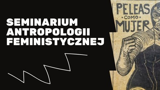 [Translate to English:] Logo Seminarium Antropologii Feministycznej