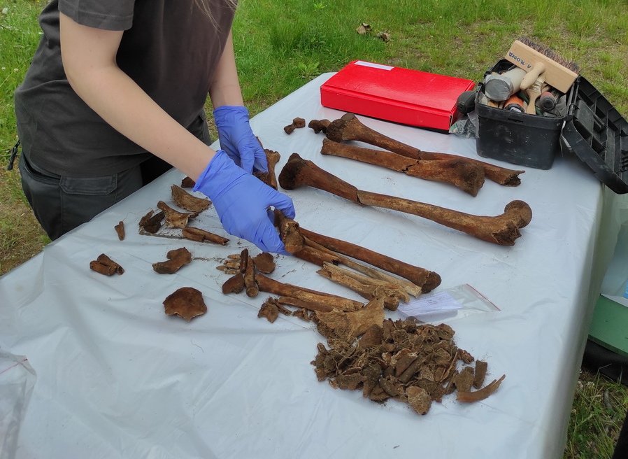 prace podczas wykopalisk