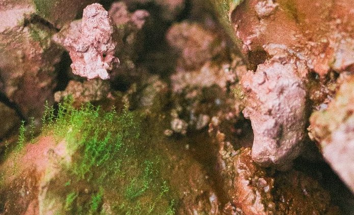 a photo by Jerzy Wypych