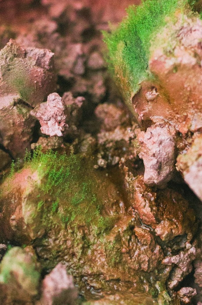 a photo by Jerzy Wypych