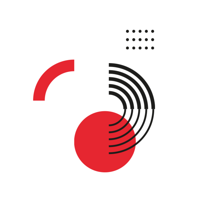 logo instytutu de republica