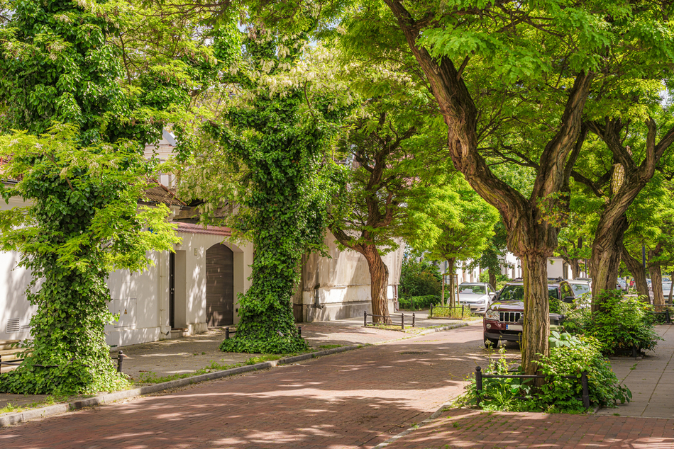 Piękna uliczka miejska w słoneczny dzień